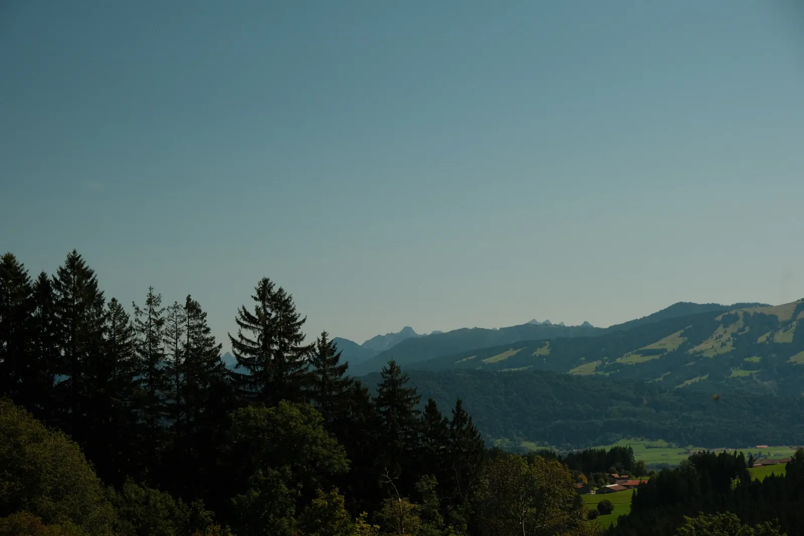 VW Typ 4 Treffen Bodensee – Bild 10